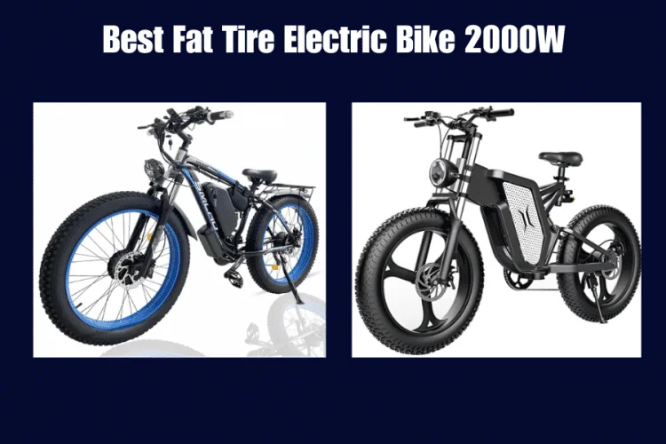 Best Fat Tire Electric Bike In 2024