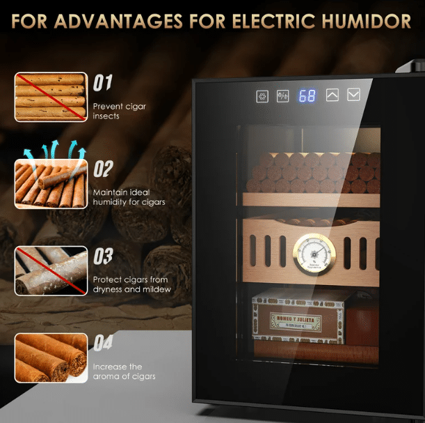 Best Electric Humidors 2024