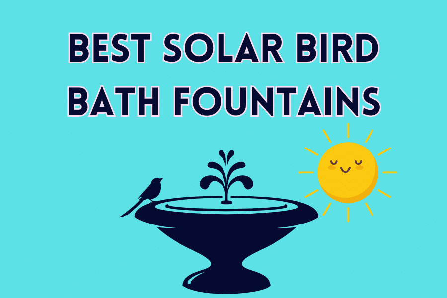 Best Solar Bird Bath Fountains: A Splash of Renewable Energy