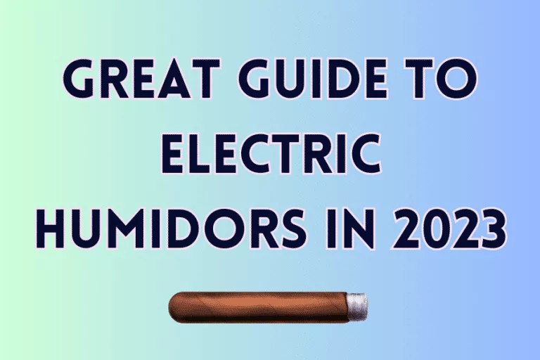 Great Guide to Electric Humidors in 2023