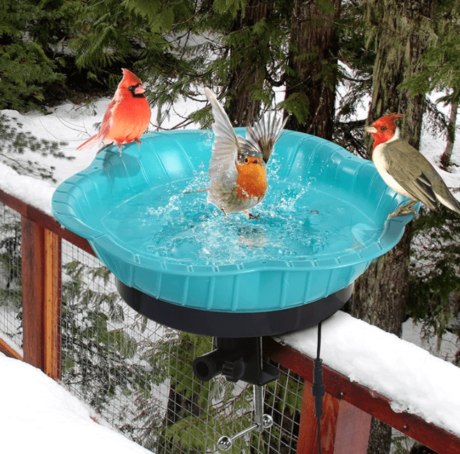 Best Heated Bird Baths - Keep Your Feathered Friends Warm!