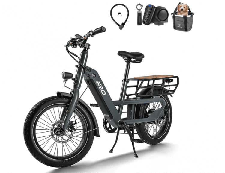 Best Cargo eBikes 2024 A Comprehensive Review