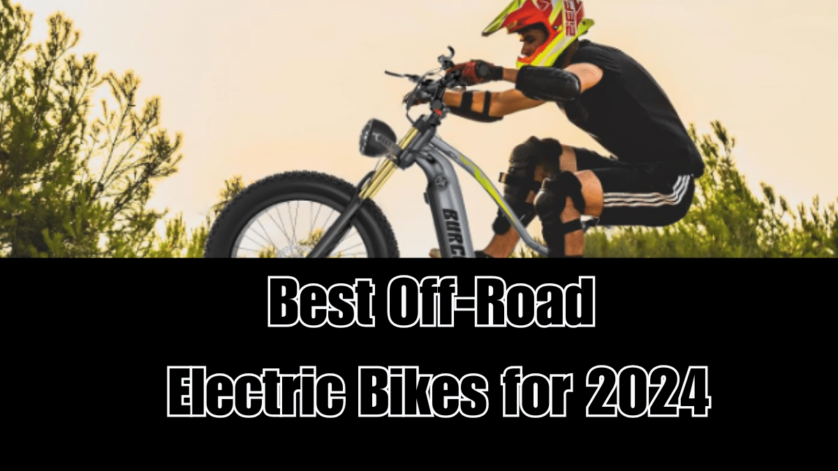 best off road electric bikes for 2024